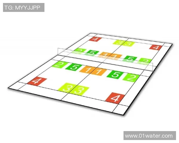 羽毛球战术解析:上海羽毛球队灵活转换体系的深度剖析与应用 羽毛球战术解析:上海羽毛球队灵活转换体系的深度剖析与应用